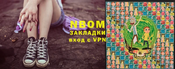прущие грибы Богородск
