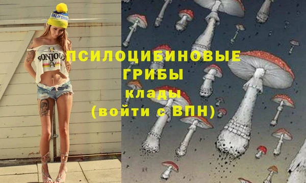 спиды Богородицк