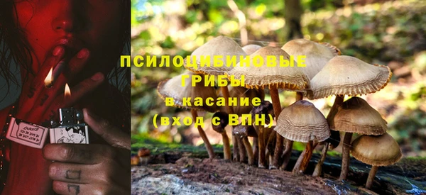 прущая мука Слюдянка